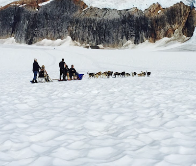 Photo of Mendenhall Dog Sled